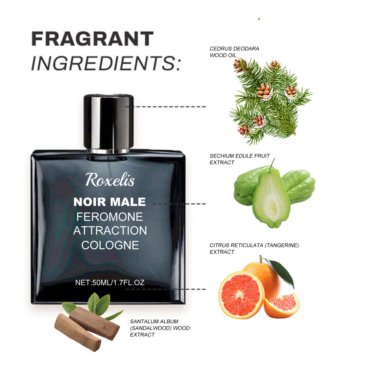 Noir Male Fragrance